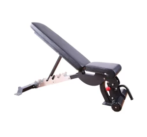 Adjustable workout bench for a gym
