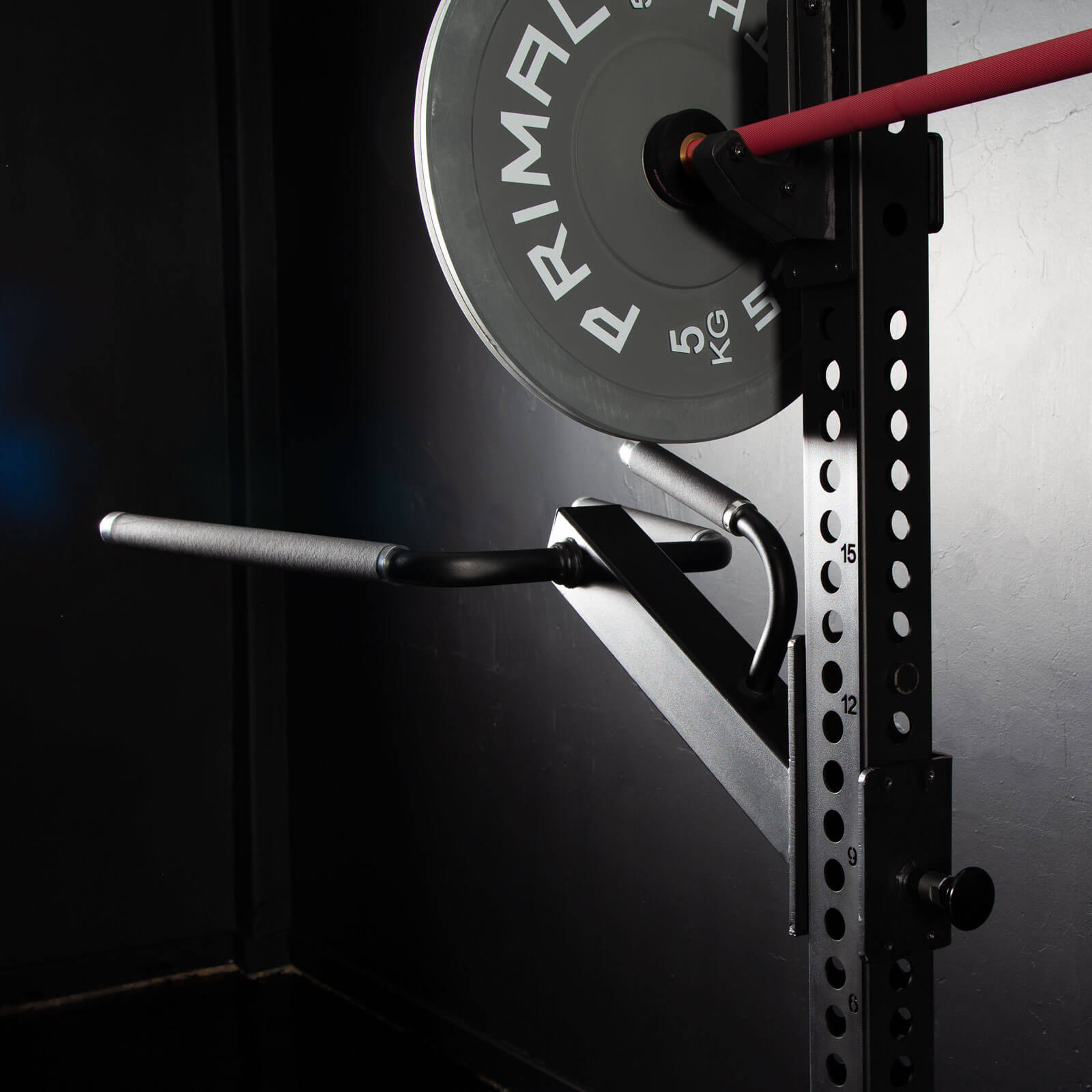 Primal Strength Personal Training System